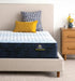 Serta Classic® Alden Tight Top 12.5" Firm Mattress - Mattress Mars Millenia Crossing (Next to IKEA)