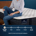 Serta iComfortPro™ Granby Quilted Tight Top 11.5 inch Extra Firm Mattress - Mattress Mars Millenia Crossing (Next to IKEA)