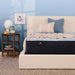 Serta Perfect Sleeper® Blue Lagoon Nights 13" Medium Mattress - Mattress Mars Millenia Crossing (Next to IKEA)