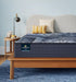 Serta Perfect Sleeper X™ Hybrid Aspen 12.5" Tight Top Firm Mattress - Mattress Mars Millenia Crossing (Next to IKEA)